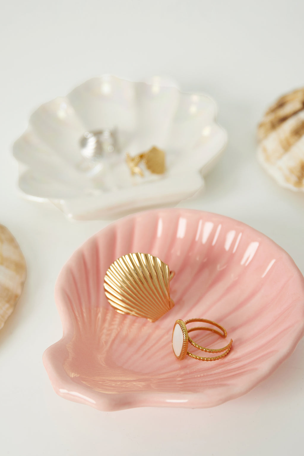 Glass display shell sign