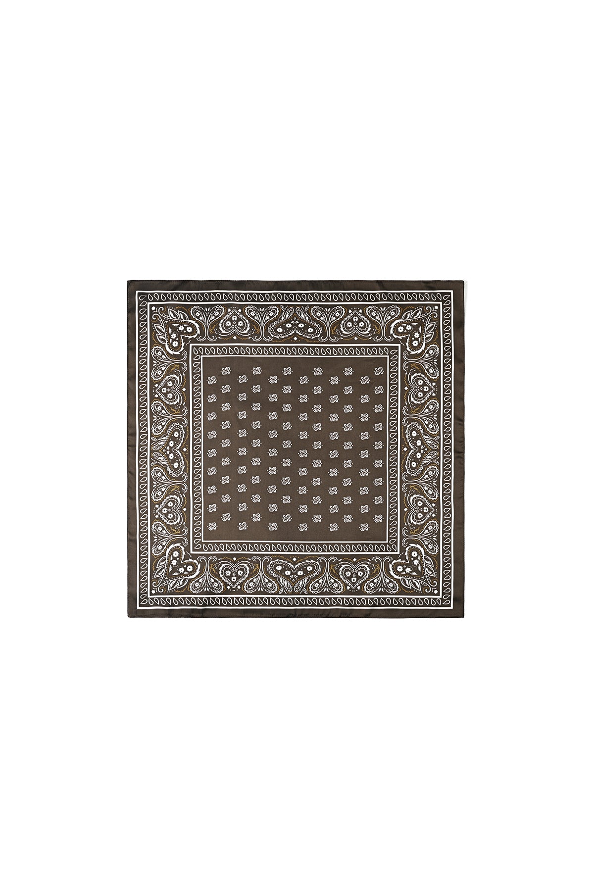 Summer scarves Paisley Pattern Casual Polyester Daily Accessories