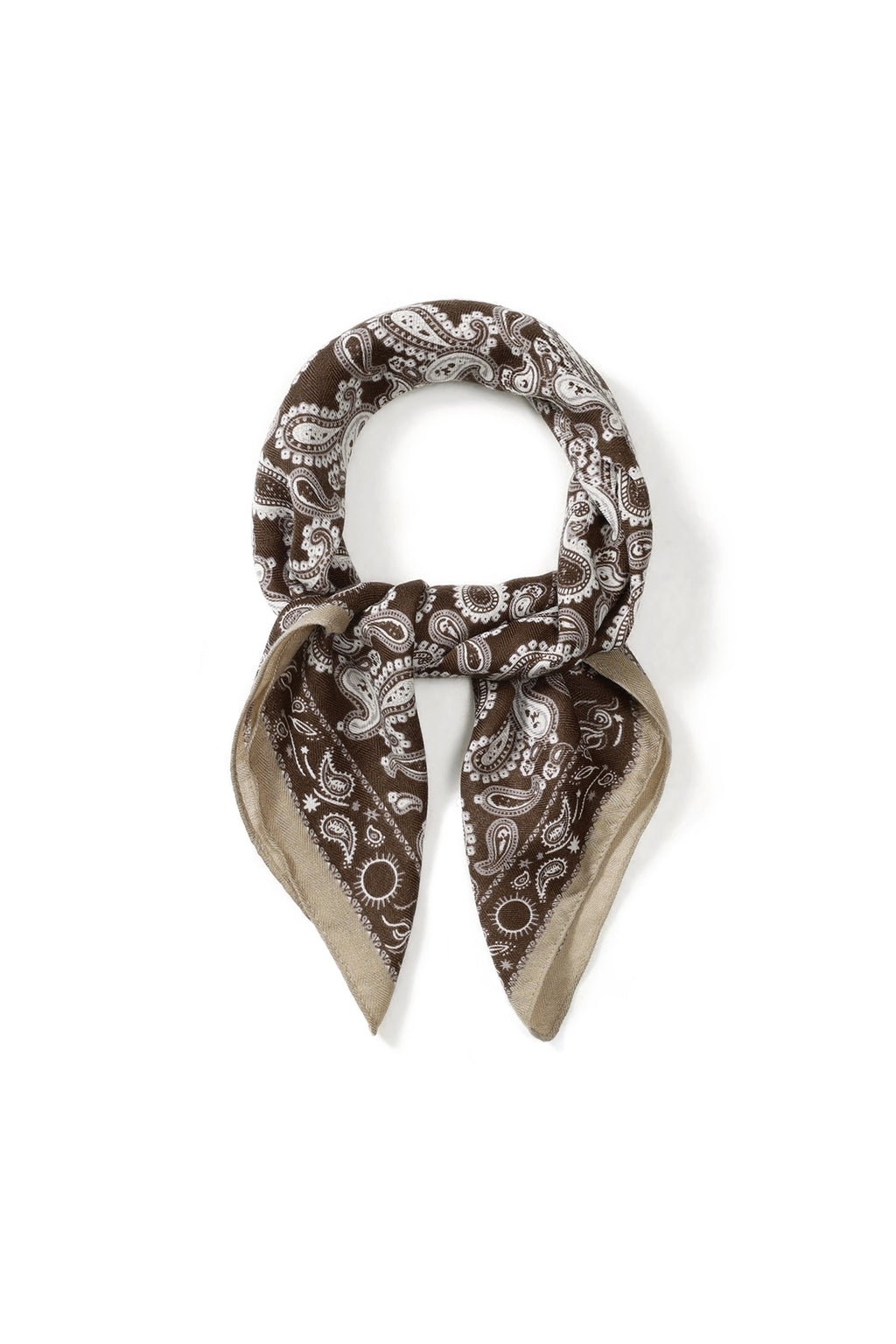 Winter scarves Paisley Pattern Classic Velvet Daily Accessories