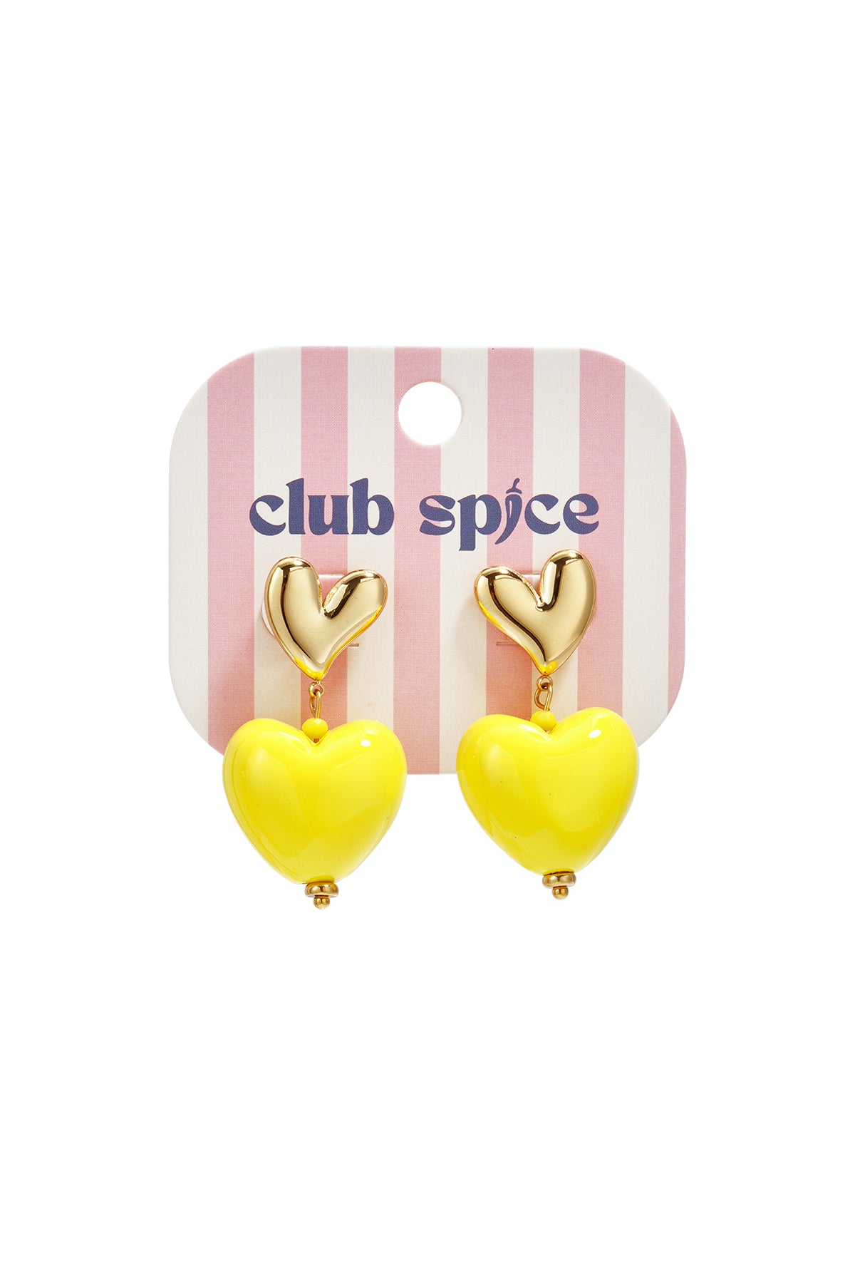 Stainless Steel Drop Earrings Heart Casual Daily Romantic Series Women's jewelry