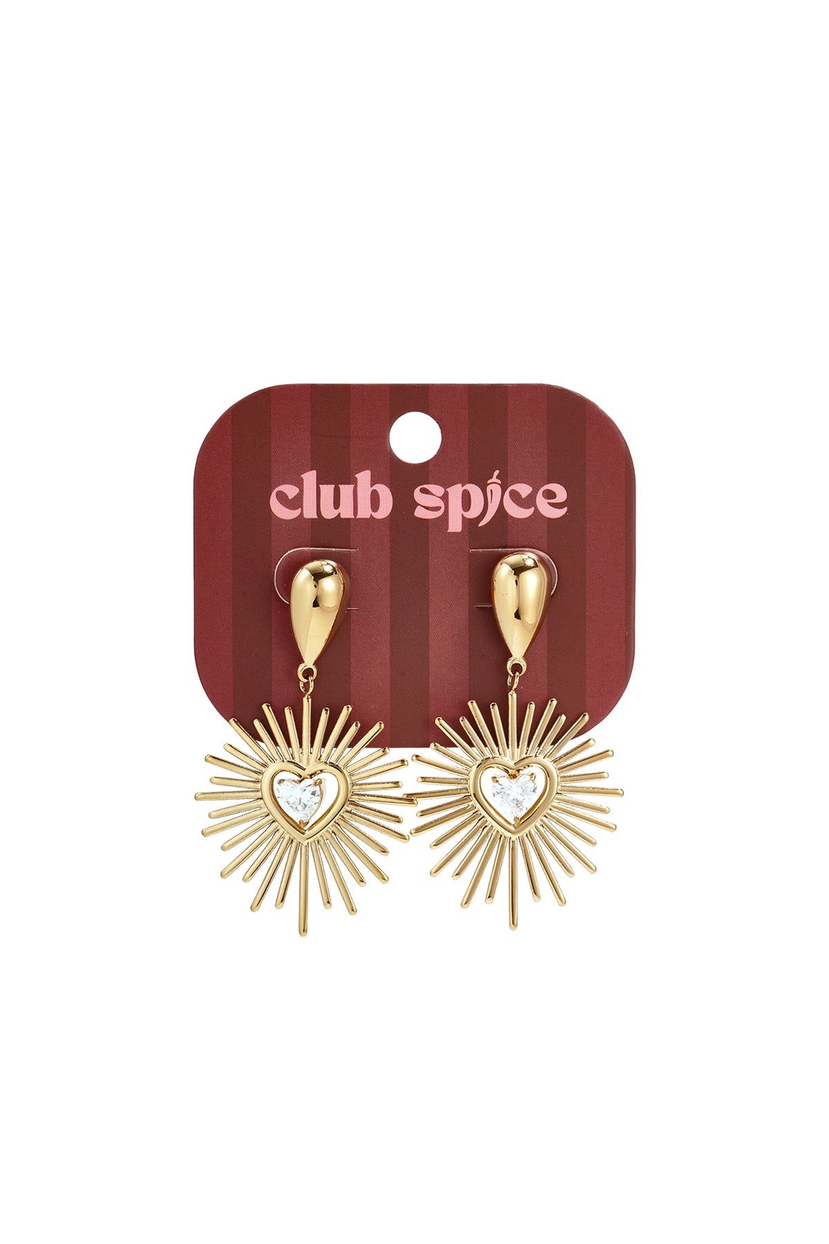 Stainless Steel Stud Earrings Irregular Shape Elegant Gathering/Party Luxurious Series Women's jewelry
