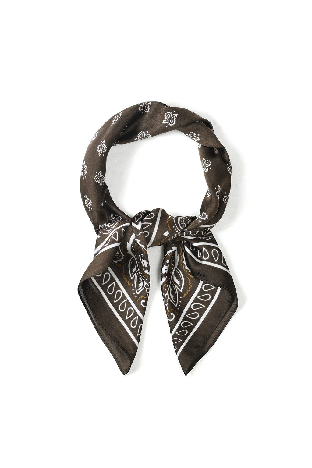 Summer scarves Paisley Pattern Casual Polyester Daily Accessories