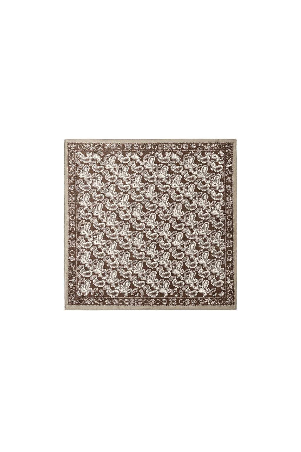 Winter scarves Paisley Pattern Classic Velvet Daily Accessories