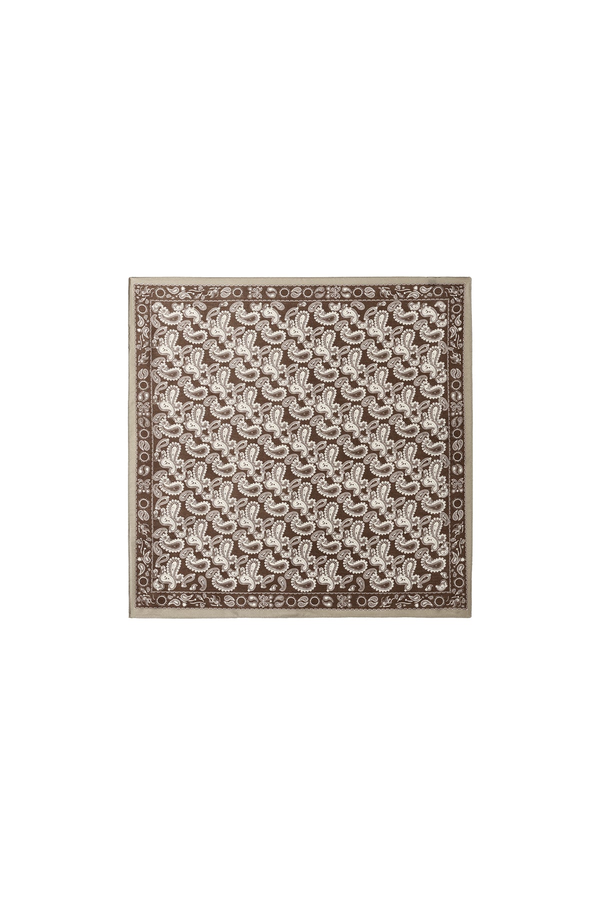 Winter scarves Paisley Pattern Classic Velvet Daily Accessories